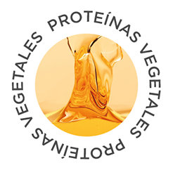 Plant Protein