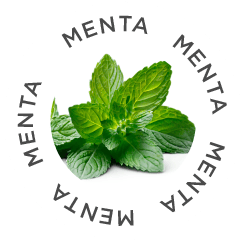 Menta